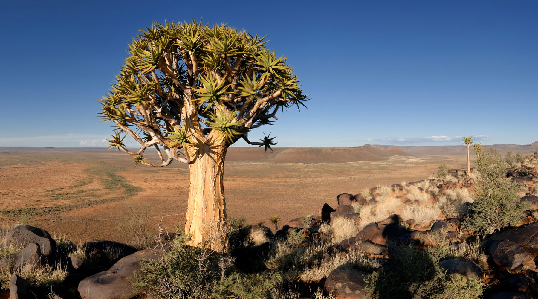 South Africa