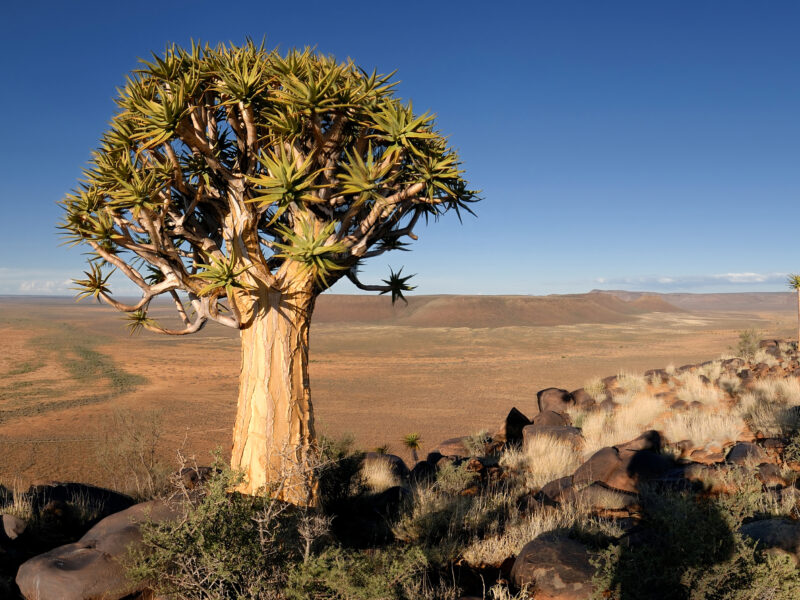 South Africa