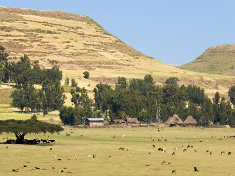 Ethiopia