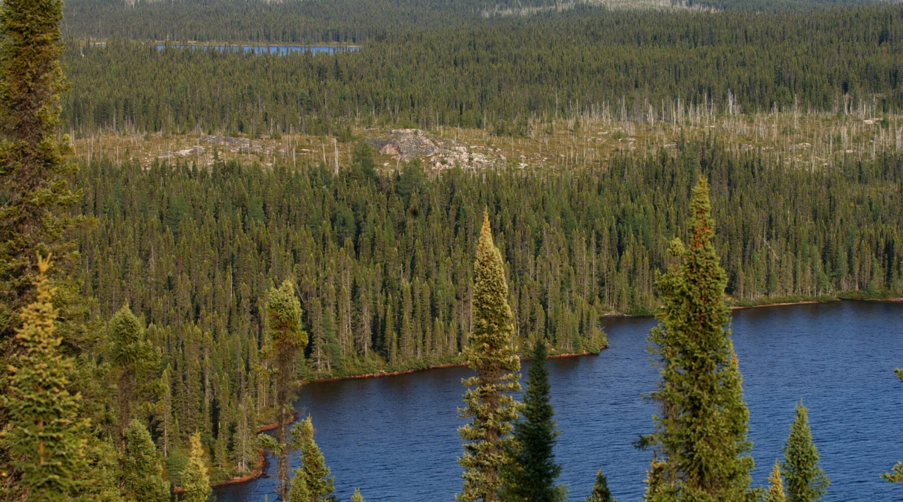 Canada
