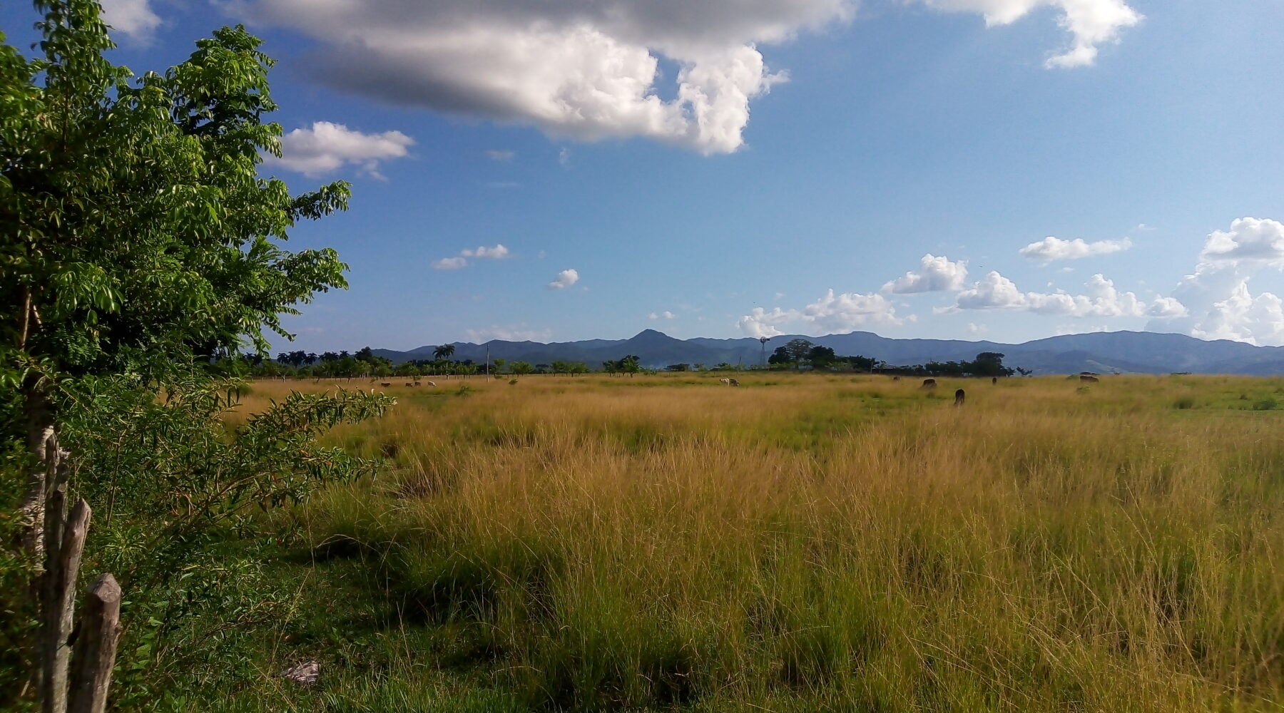 Cuba